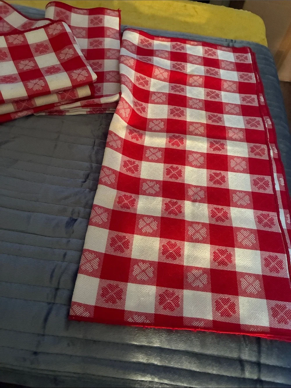 Red Gingham Cotton Napkin Set by